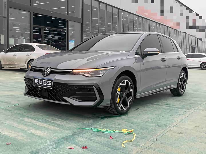 Volkswagen Golf 2025 2025款 300TSI R-Line