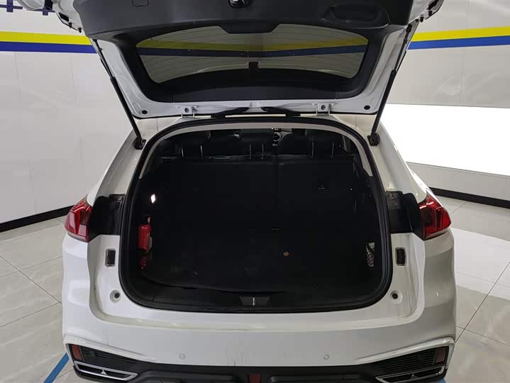 Wey VV5 2021 2021款 1.5T 两驱颜先锋