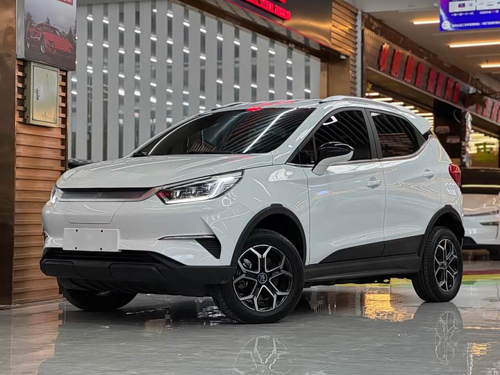 BYD Yuan Pro 2023 2023款 401KM豪华型