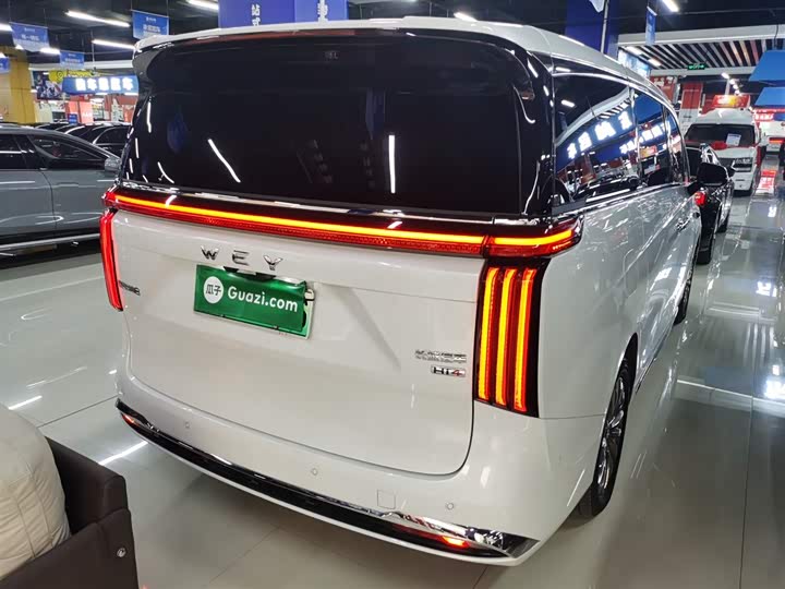 Wey Gaoshan 2025 2025款 四驱高山8