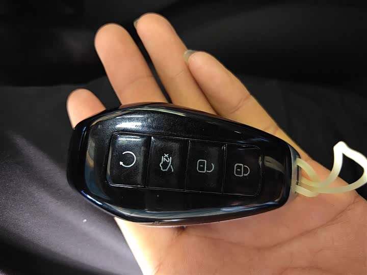 Denza Z9 2024 2024款 1100km 四驱Max版