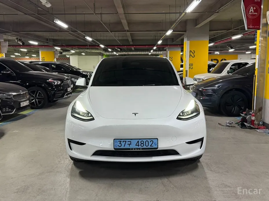 Tesla Model Y 2020 RWD