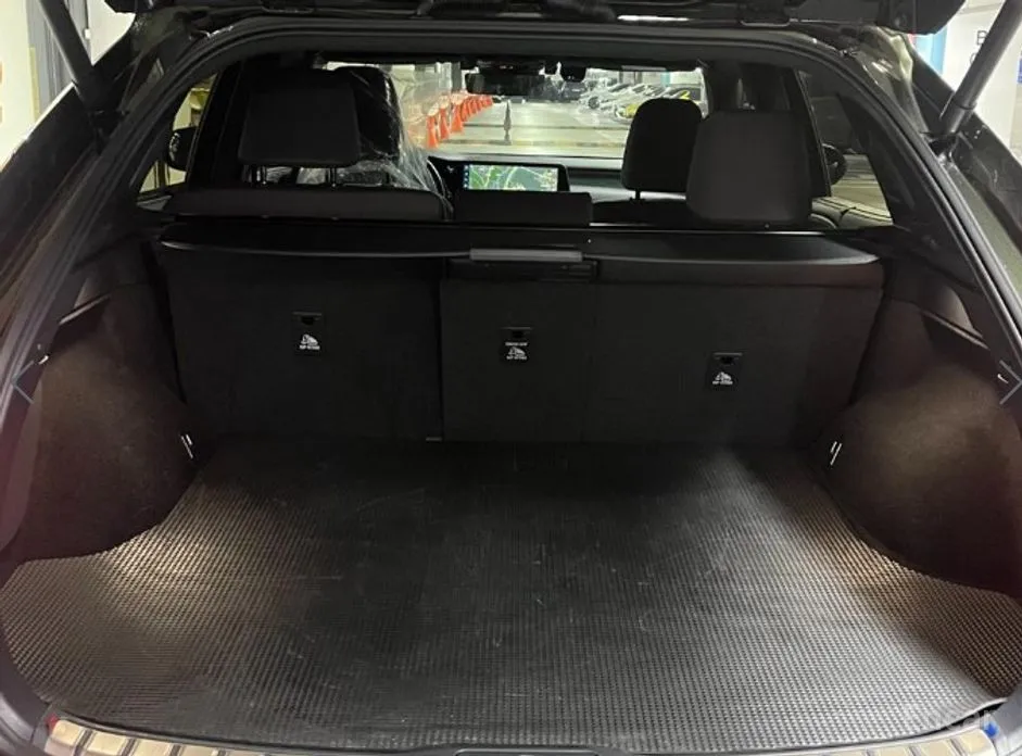 Lexus RX 2023 Luxury