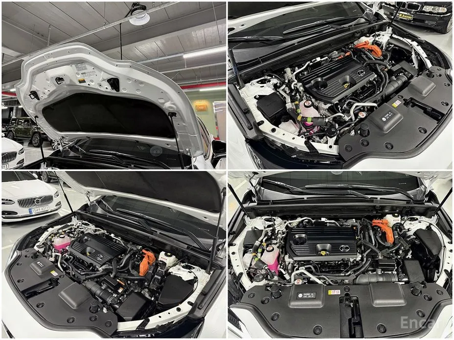 Lexus NX 2022 F-Sport