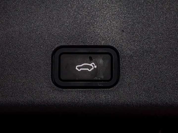 Zeekr 001 FR 2023 2023款 FR版 100kWh