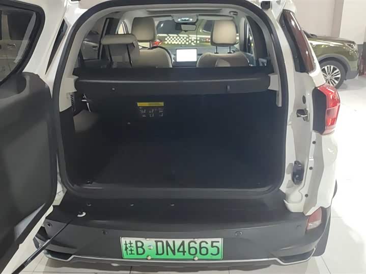 BYD Yuan Pro 2023 2023款 401KM尊贵型