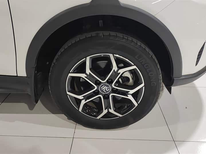 BYD Yuan Pro 2023 2023款 401KM尊贵型