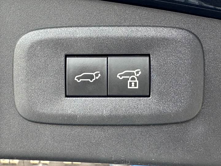 Lexus RZ 2023 2023款 450e 四驱纵享版