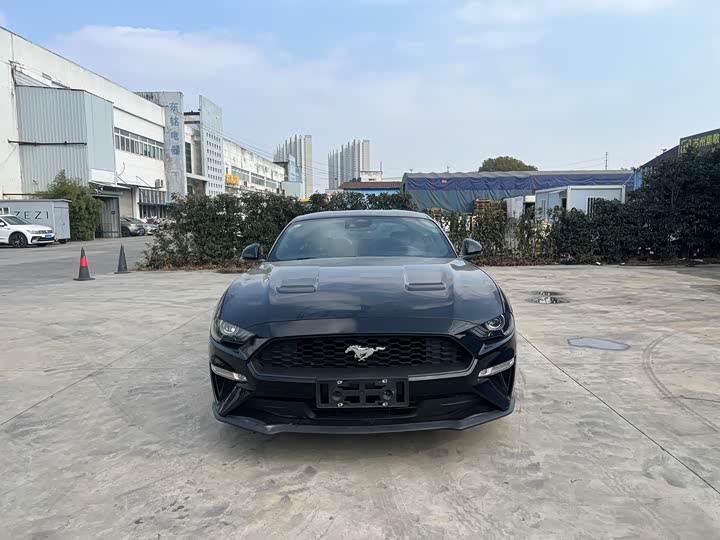 Ford Mustang 2021 2021款 2.3T EcoBoost