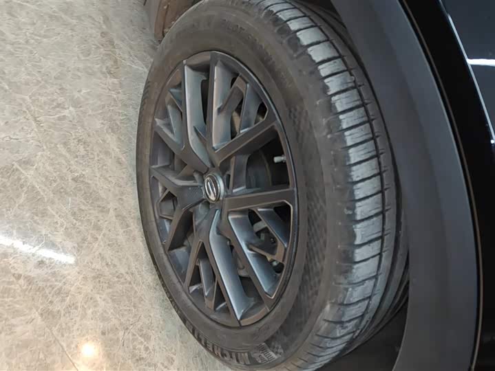 GAC Trumpchi GS8 2025 2025款 领航系列 2.0TGDI 两驱豪华版 5座