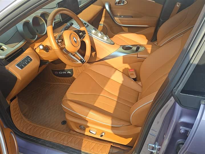 Ora Lightning Cat (07) 2022 2022款 555km 尊贵版