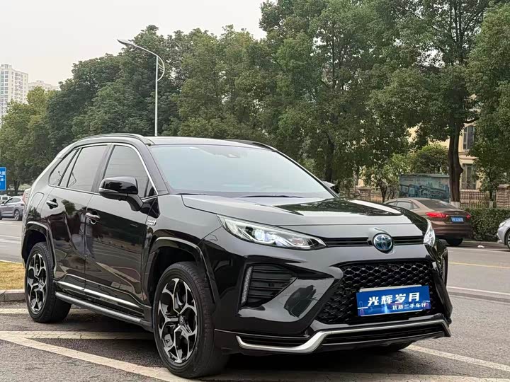 Toyota Wildlander Hybrid 2021 2021款 高性能版 2.5L 四驱激擎版