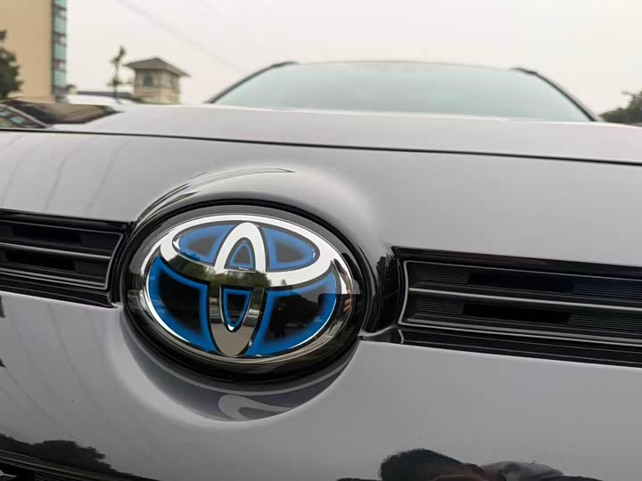 Toyota Wildlander Hybrid 2021 2021款 高性能版 2.5L 四驱激擎版