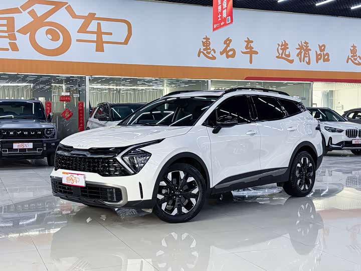 Kia Sportage 2023 2023款 2.0T 两驱尊贵版
