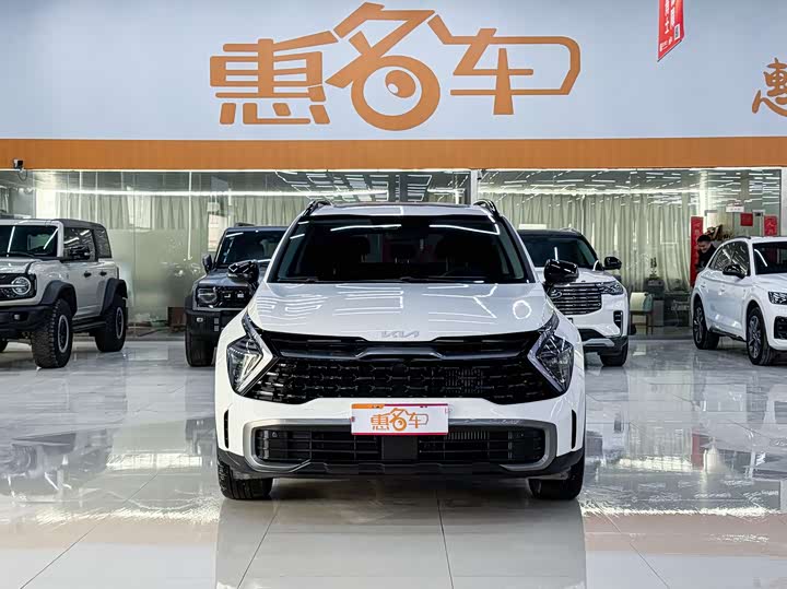 Kia Sportage 2023 2023款 2.0T 两驱尊贵版