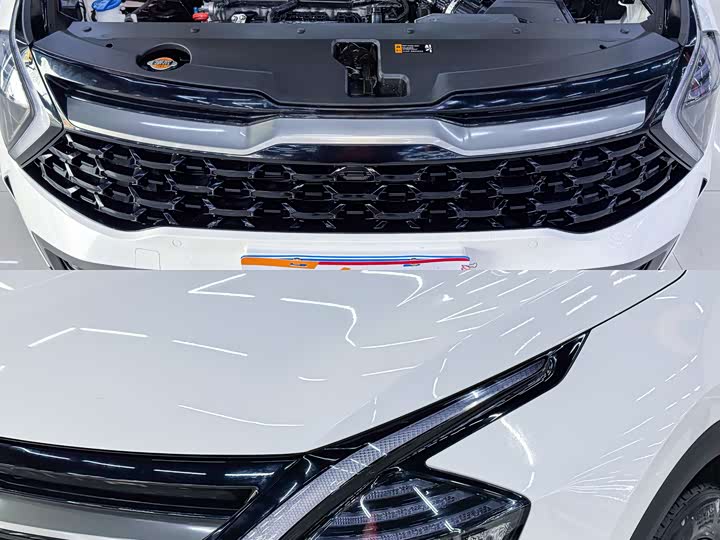 Kia Sportage 2023 2023款 2.0T 两驱尊贵版