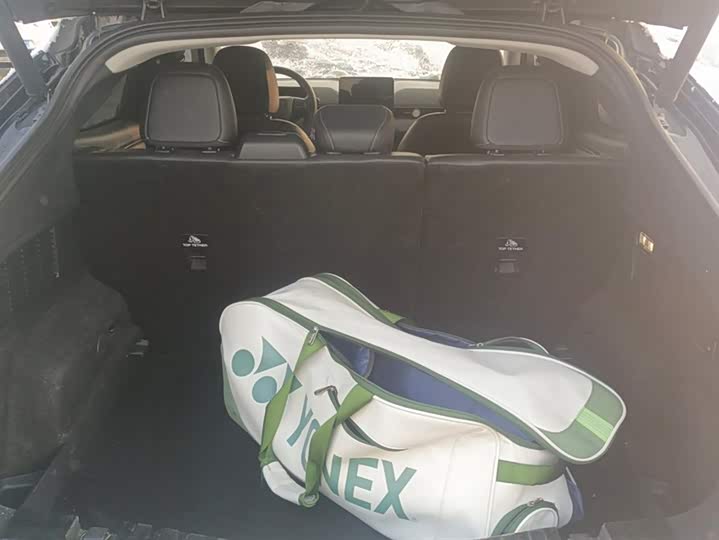 Ford Mustang Mach-E 2021 2021款 无疆后驱版(长续航)