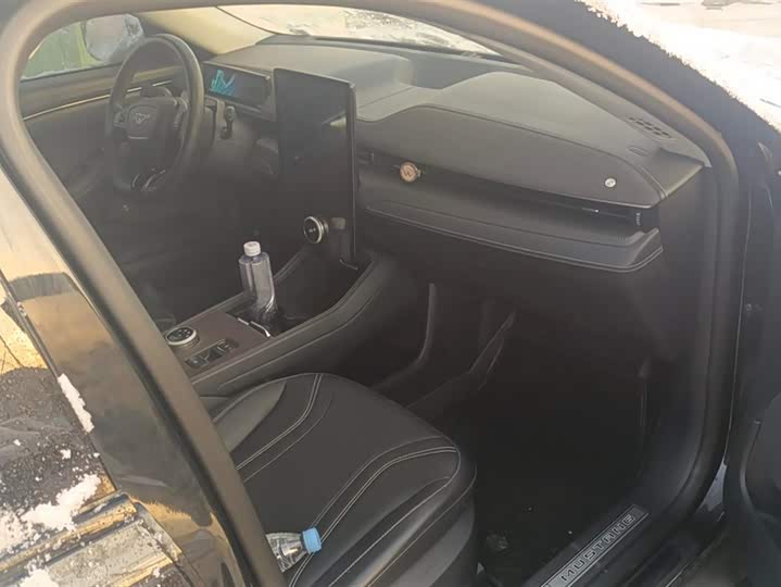 Ford Mustang Mach-E 2021 2021款 无疆后驱版(长续航)