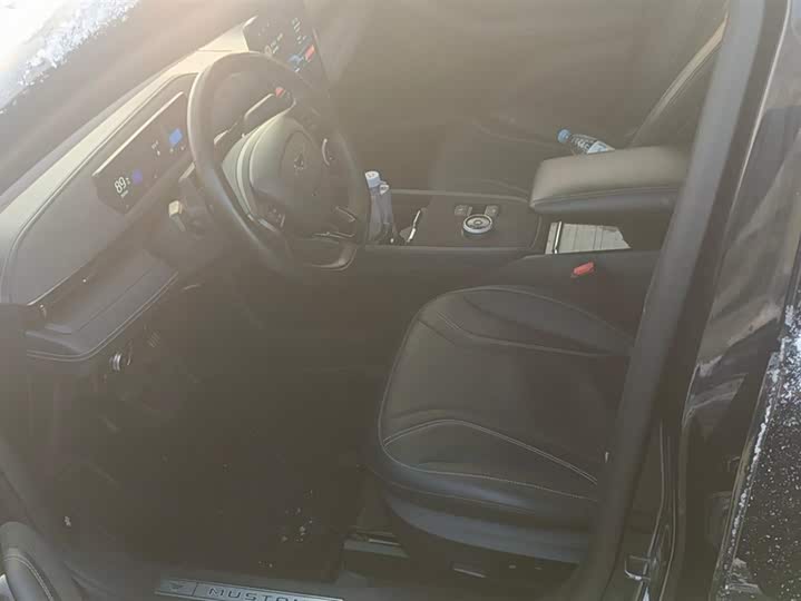 Ford Mustang Mach-E 2021 2021款 无疆后驱版(长续航)