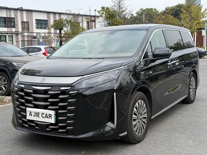 BYD Xia 2025 2025款 DM-i 1.5T 180km 卓越型