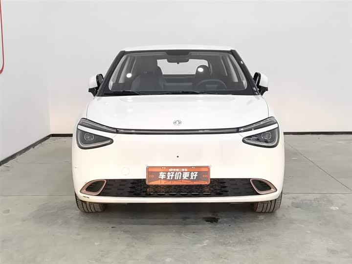 Dongfeng Nammi 01 2024 2024款 焕新版 330 Plus智+