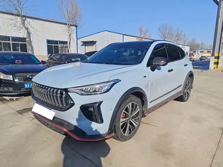 Haval Chitu 2022 2022款 1.5L DHT王者兔