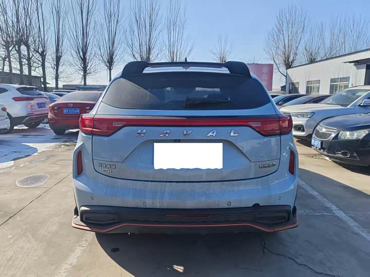 Haval Chitu 2022 2022款 1.5L DHT王者兔