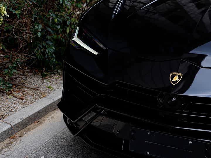Lamborghini Urus 2023 2023款 4.0T V8 S