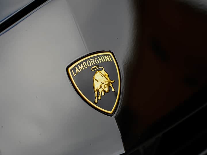 Lamborghini Urus 2023 2023款 4.0T V8 S