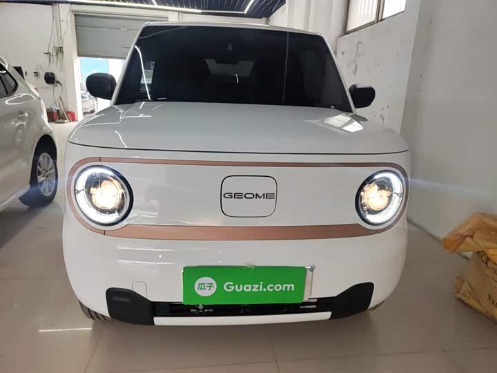 Geely Galaxy Panda Mini 2025 2025款 熊猫mini 210km 元气熊