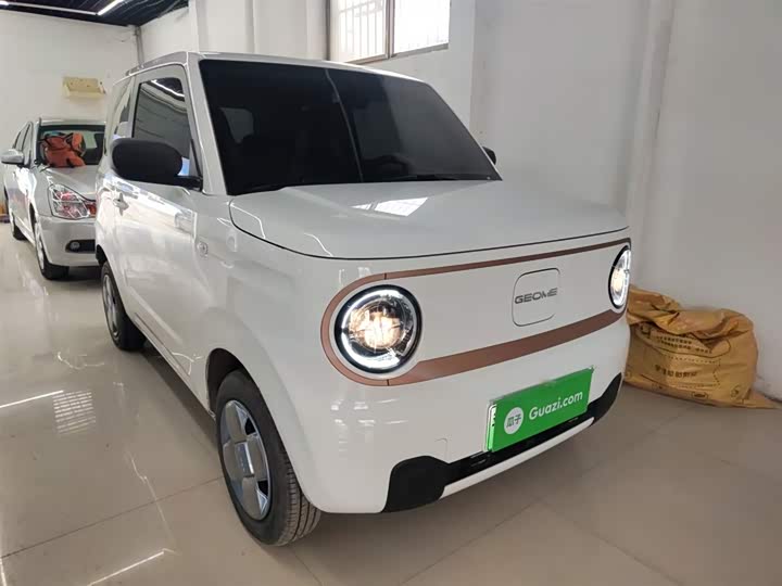 Geely Galaxy Panda Mini 2025 2025款 熊猫mini 210km 元气熊
