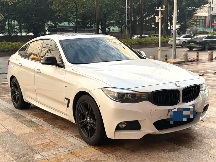 BMW 3 Series GT 2020 2020款 320i M运动曜夜版
