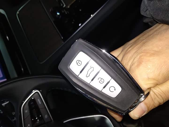 Geely Monjaro 2025 2025款 东方曜 2.0TD 自动揽星版