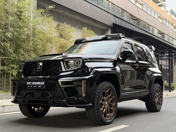 Tank 700 Hybrid 2024 2024款 Hi4-T 极境版