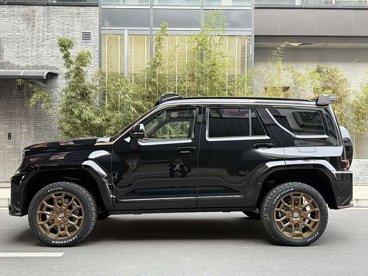 Tank 700 Hybrid 2024 2024款 Hi4-T 极境版