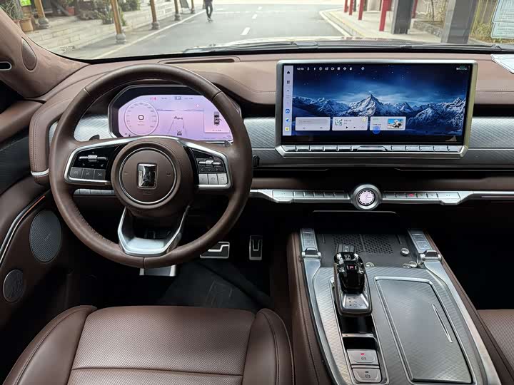 Tank 700 Hybrid 2024 2024款 Hi4-T 极境版