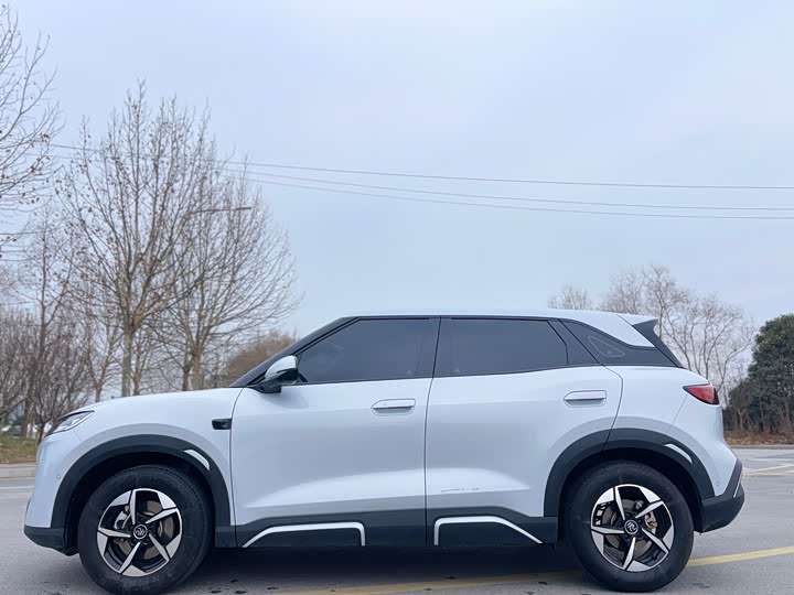 BYD Yuan Up 2025 2025款 智驾版 401KM 领先型