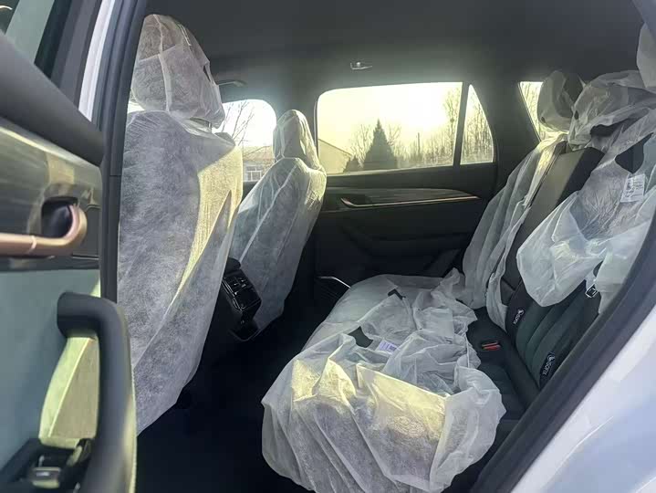 Geely Monjaro Thor Hybrid 2024 2024款 油混 1.5T 天宫版