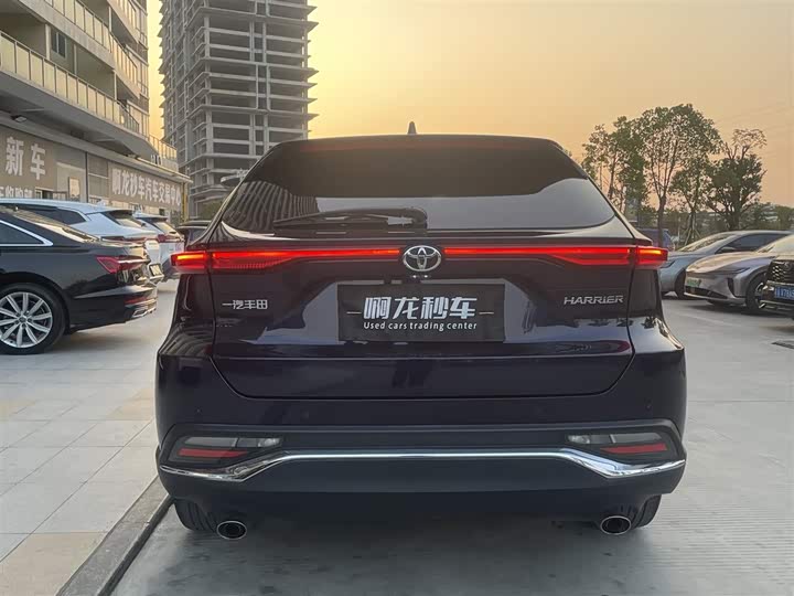 Toyota Harrier 2023 2023款 2.0L CVT两驱尊享版