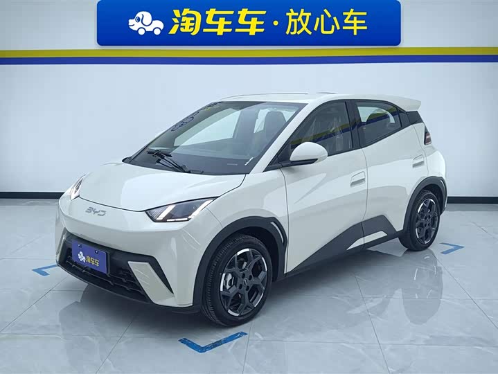 BYD Seagull 2025 2025款 305km 自由版