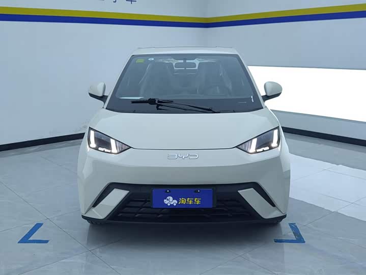 BYD Seagull 2025 2025款 305km 自由版