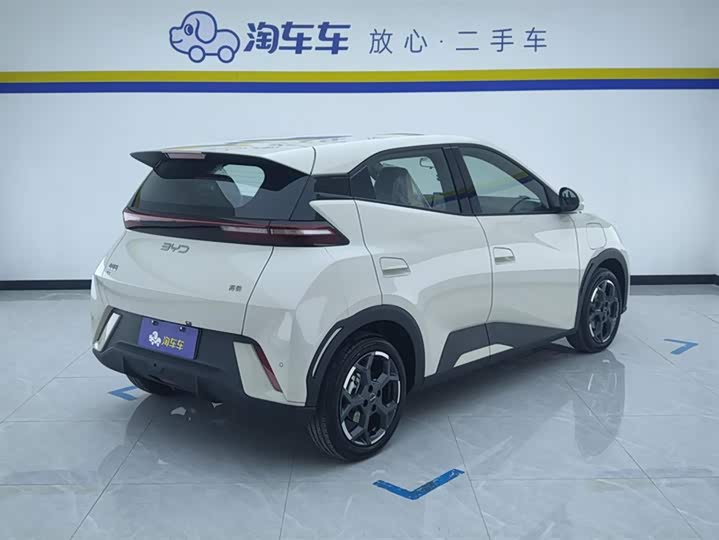 BYD Seagull 2025 2025款 305km 自由版