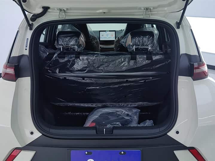 BYD Seagull 2025 2025款 305km 自由版