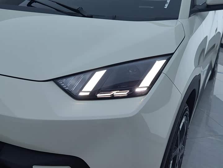 BYD Seagull 2025 2025款 305km 自由版