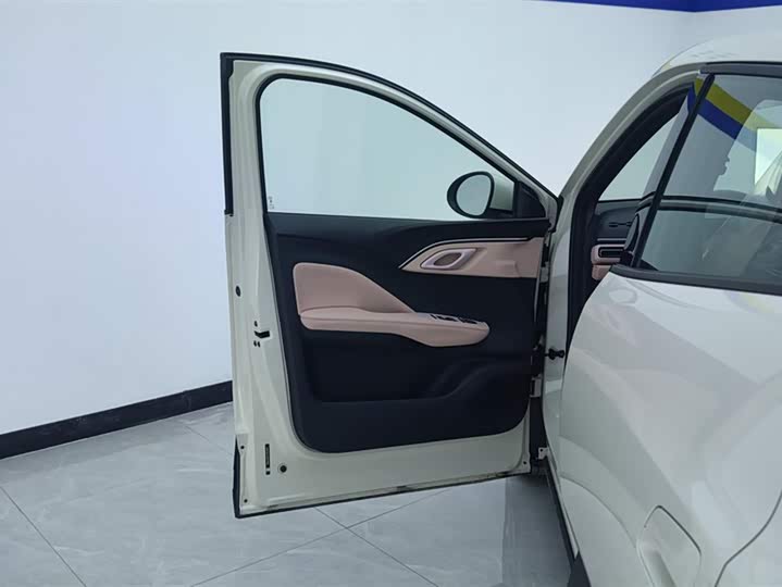 BYD Seagull 2025 2025款 305km 自由版