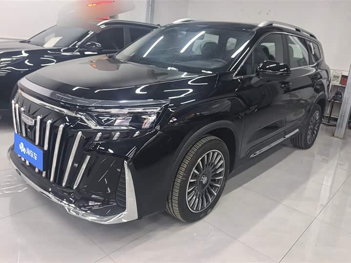 Geely Okavango L 2025 2025款 2.0T DCT尊享款