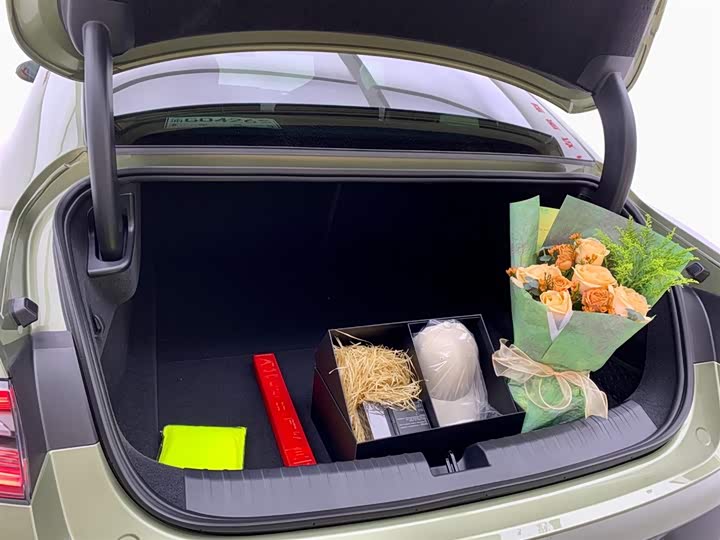 Xiaomi SU7 2024 2024款 后驱长续航智驾版