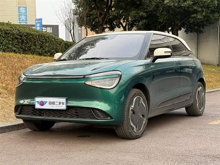 Dongfeng Nammi 01 2026 2026款 挚爱款 330 Ultra