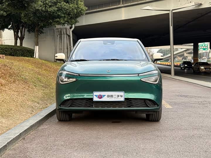 Dongfeng Nammi 01 2026 2026款 挚爱款 330 Ultra