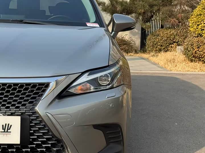 Lexus CT 200h 2020 2020款 CT200h 舒适版 单色